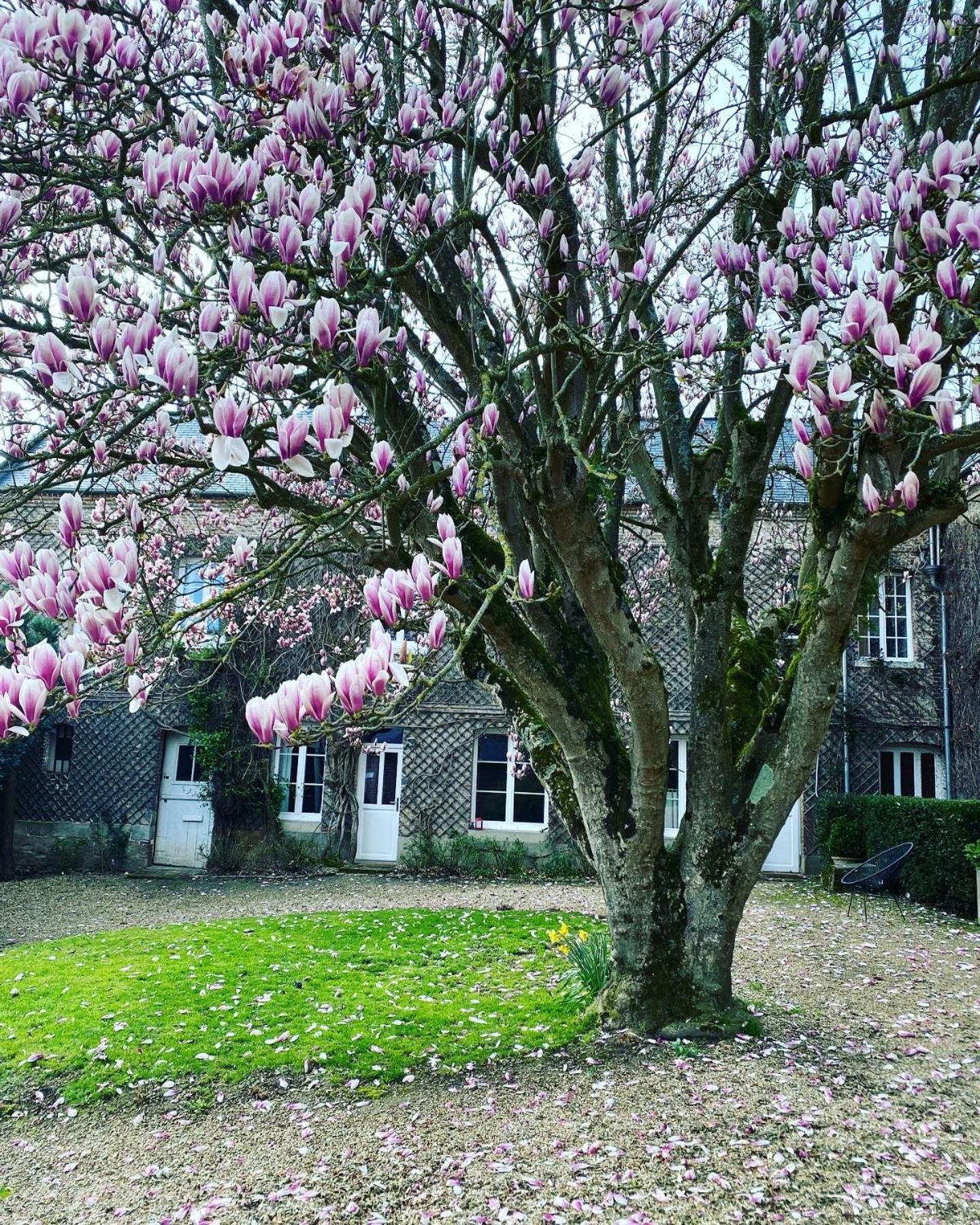 Bed and Breakfast La Benjamine Cany-Barville Exteriér fotografie